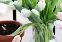 3 Essential Tips for Planning a Thriving Garden