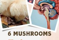6 Mushrooms That Boost Brain Health and Cognitive Function