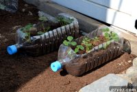 Complete Guide to Successful Gardening: Free Soil, Plants & Tools