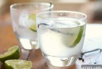 Vanilla French Gin & Tonic: A Delightful Homemade Recipe