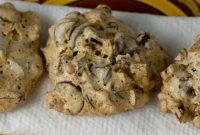Forgotten Cookie and Meringue Cookie Recipes for Perfect Crispness