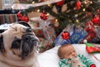 Christmas Greetings: Joyful Wishes and Holiday Cheer 2026