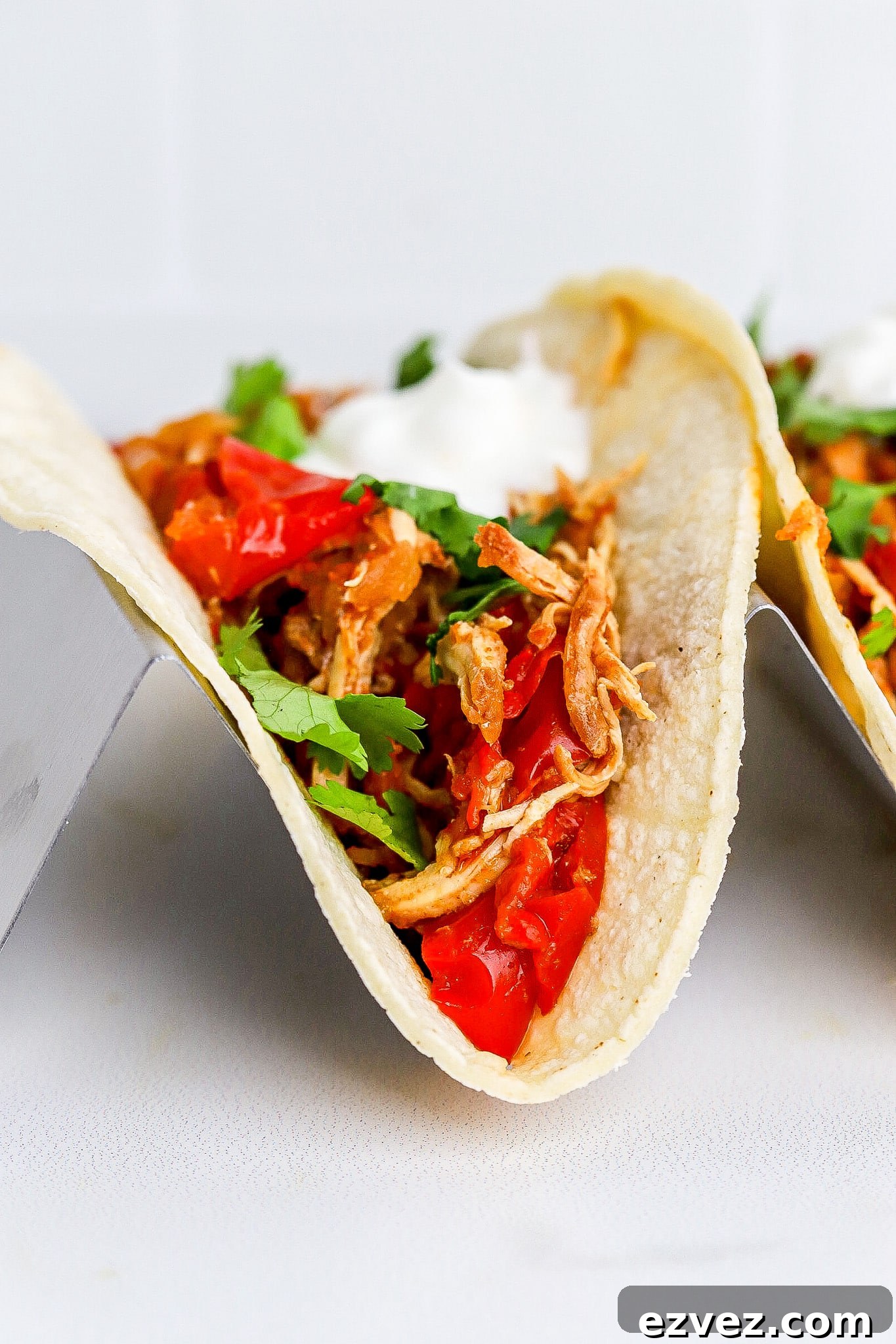 Close up view of delicious chicken fajitas with red bell pepper.