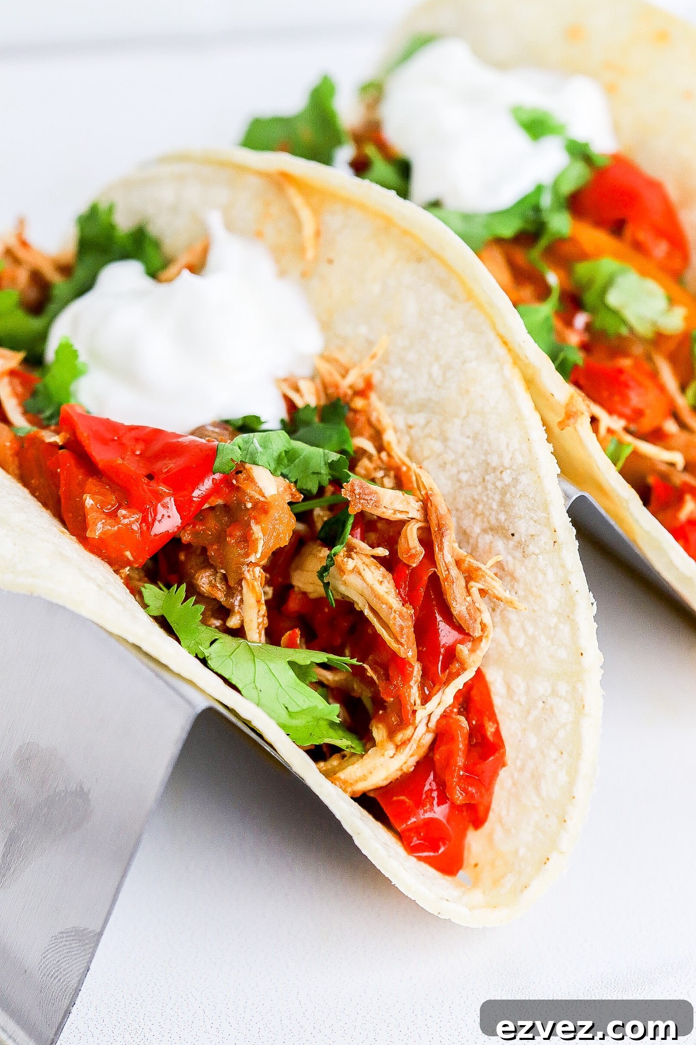 Side view of crock pot chicken fajitas inside of a soft taco shell.
