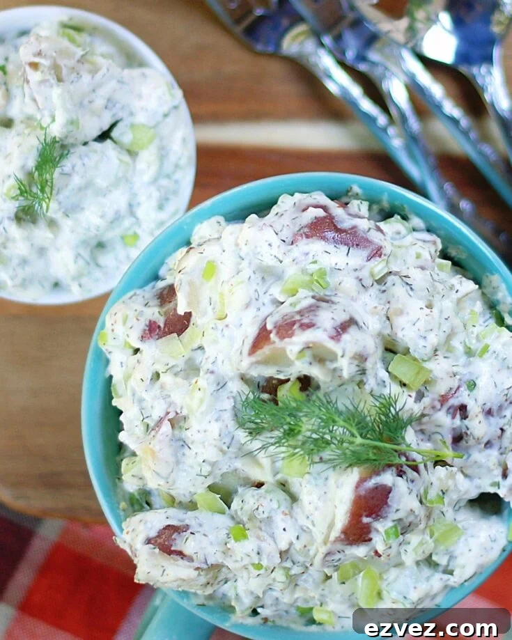 creamy dill potato salad made with red potatoes and sour cream
