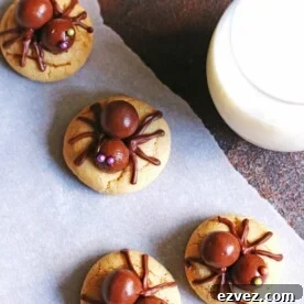 Spider cookies