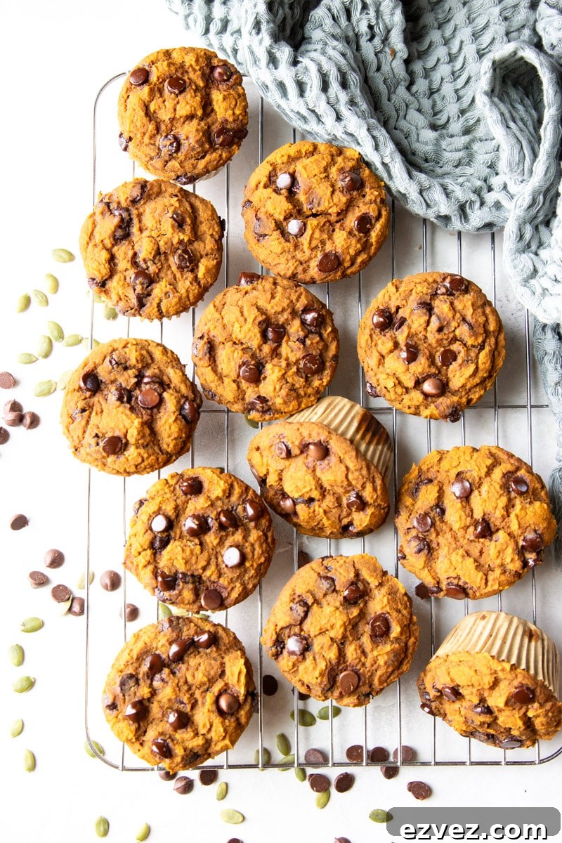 Gluten-Free Chocolate Chip Pumpkin Muffins