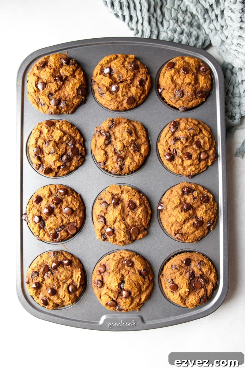 Close-up muffin