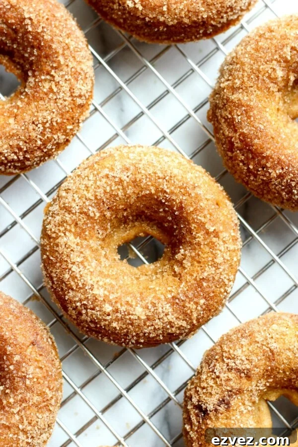 Apple Cider Donuts