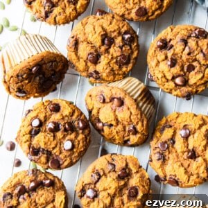 Pumpkin Chocolate Chip Muffins