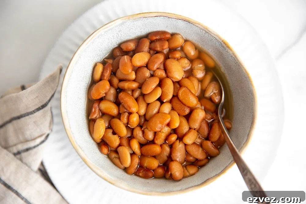 Overhead close-up of a bowl of pinto beans.