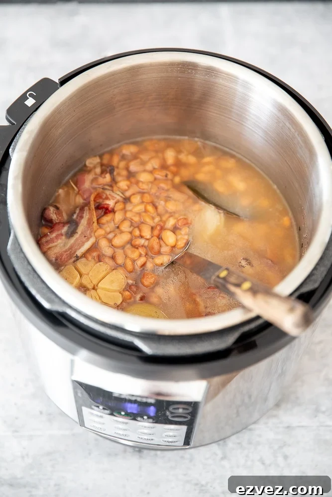 Overhead shot of pinto beans in an Instant Pot.