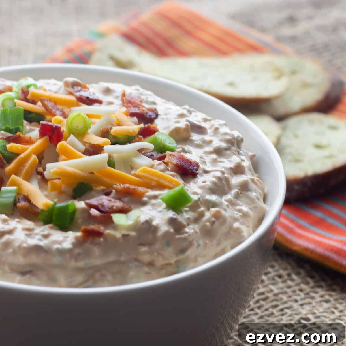 Closeup picture of dip with crackers in the background.