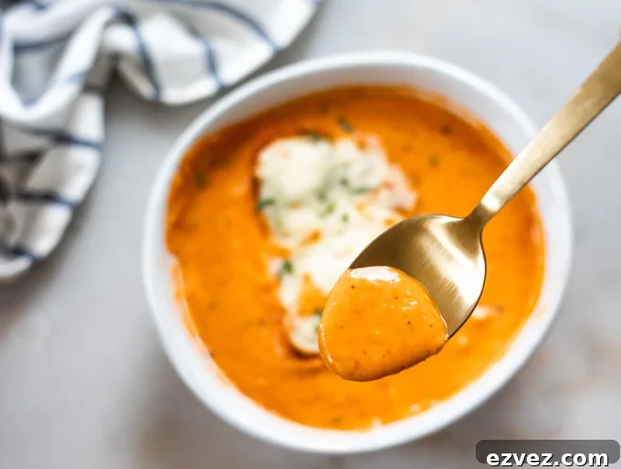 A picture of spoonful of tomato bisque