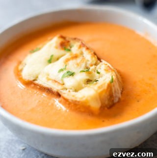 A small bowl of Cheesy Tomato Bisque