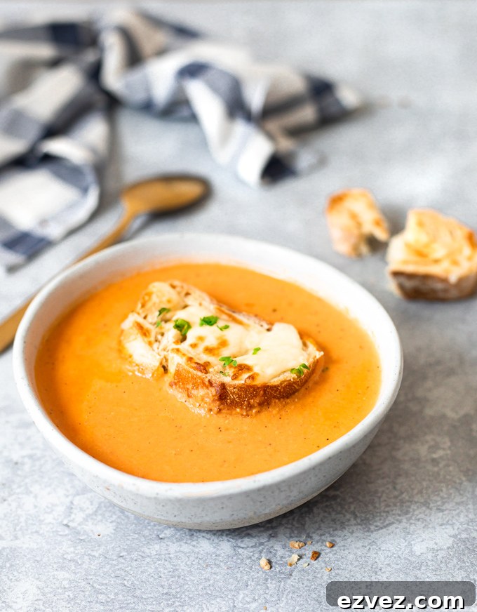 a bowl of tomato bisque soup