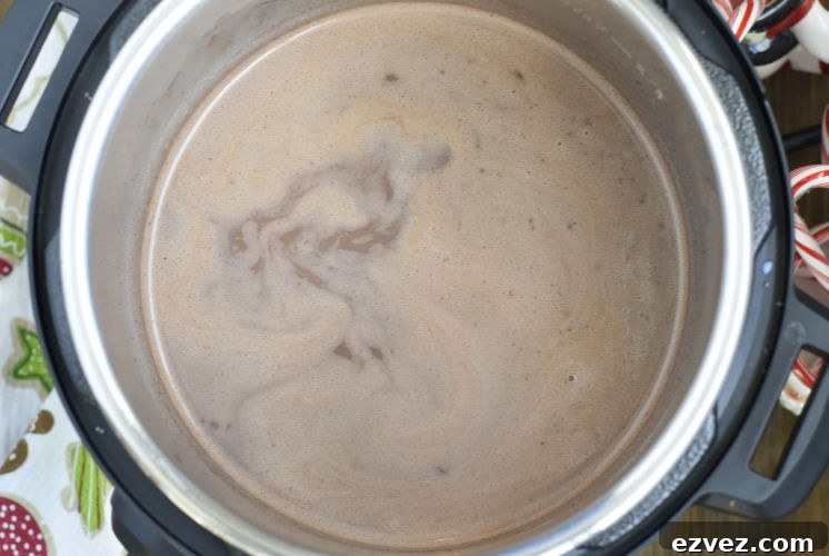 hot chocolate in the instant pot