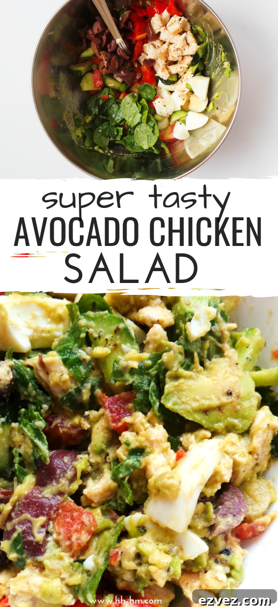 Creamy avocado chicken salad made without mayo, served as a healthy low carb keto and paleo lunch idea.