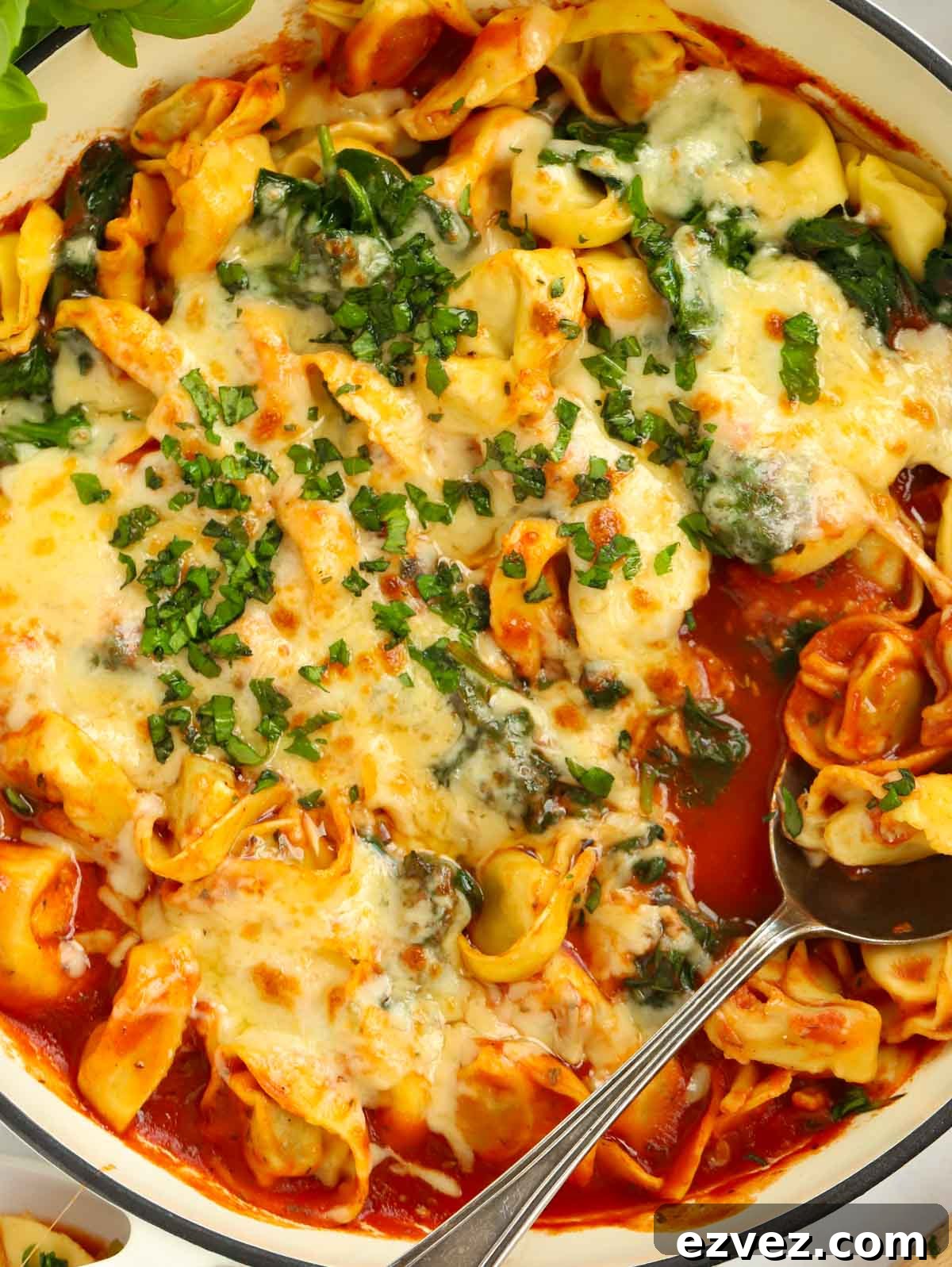 Close up of Spinach and Ricotta Tortellini Lasagne topped with melted mozzarella