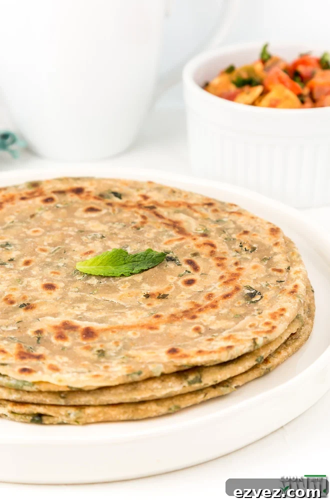 Refreshingly Flavored Mint Paratha Recipe — Soft & Aromatic 2 Mint Paratha