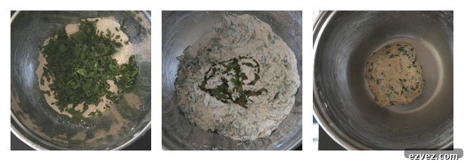 Refreshingly Flavored Mint Paratha Recipe — Soft & Aromatic 4 Mint Paratha Recipe-Step-1