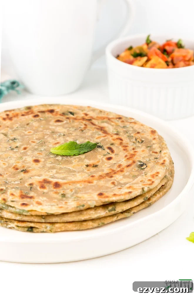 Refreshingly Flavored Mint Paratha Recipe — Soft & Aromatic 10 Pudina Paratha