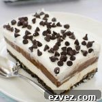 Piece of chocolate lasagna