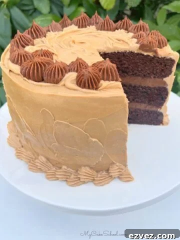 Mocha Cake