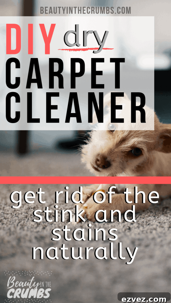simple, natural, and non toxic DIY homemade Dry Carpet Cleaner to lift stains, deodorize, and kill built up bacteria.