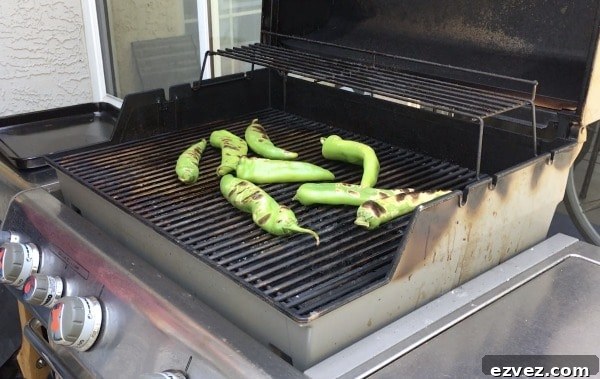 Fire-Roasting Hatch Chiles: Step-by-Step Guide + 12 Delicious Recipes 3 Hatch chiles blistering on a gas grill.