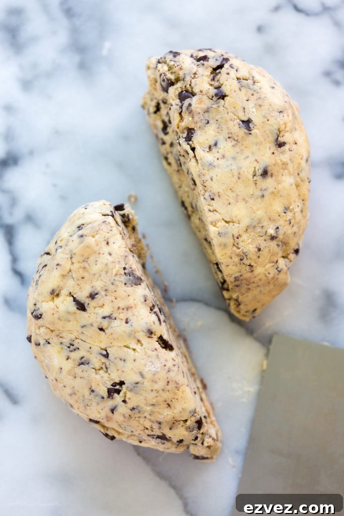 Grapefruit Chocolate Shortbread Cookie dough