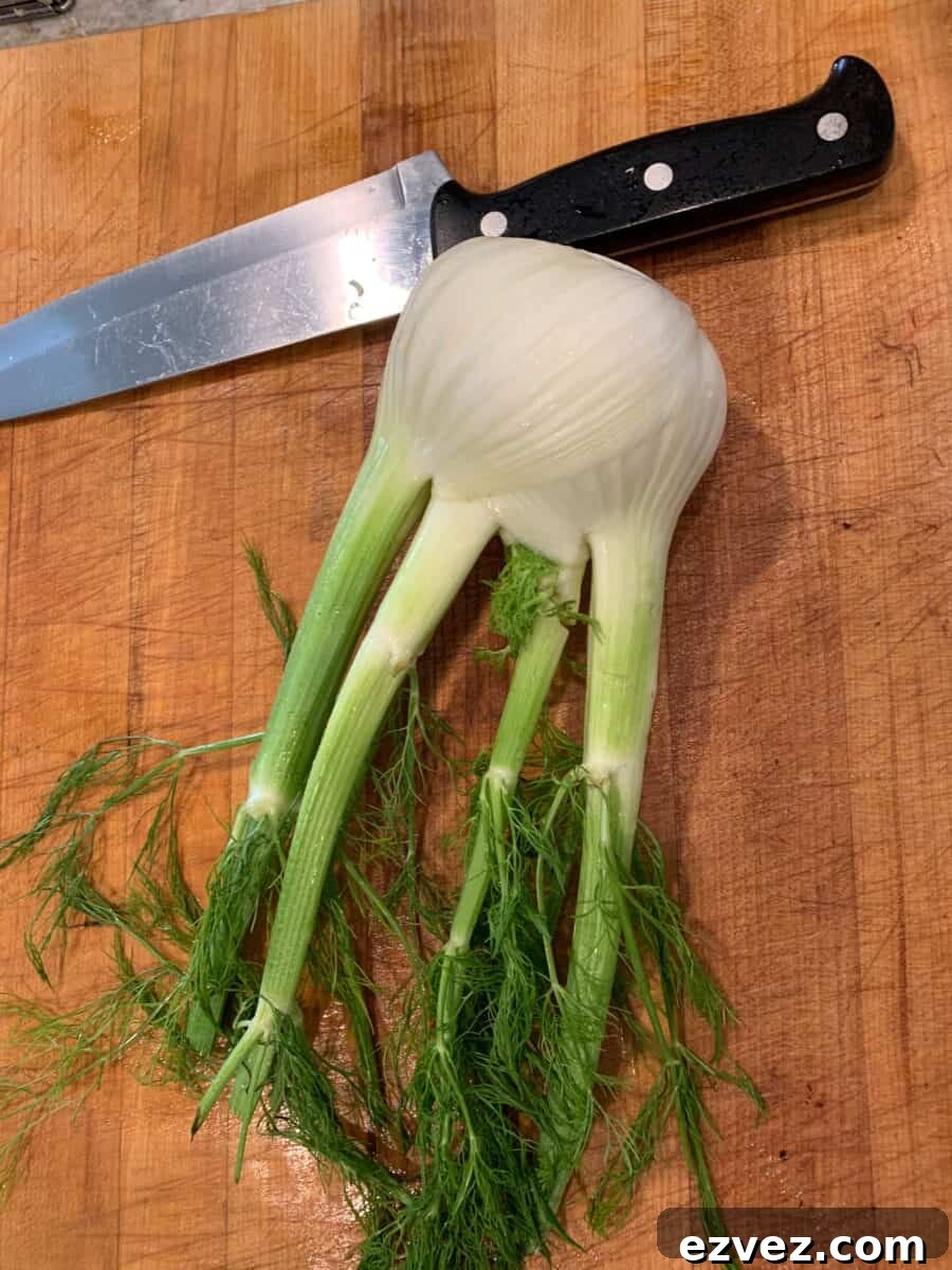 Fennel bulb on a cutting board.