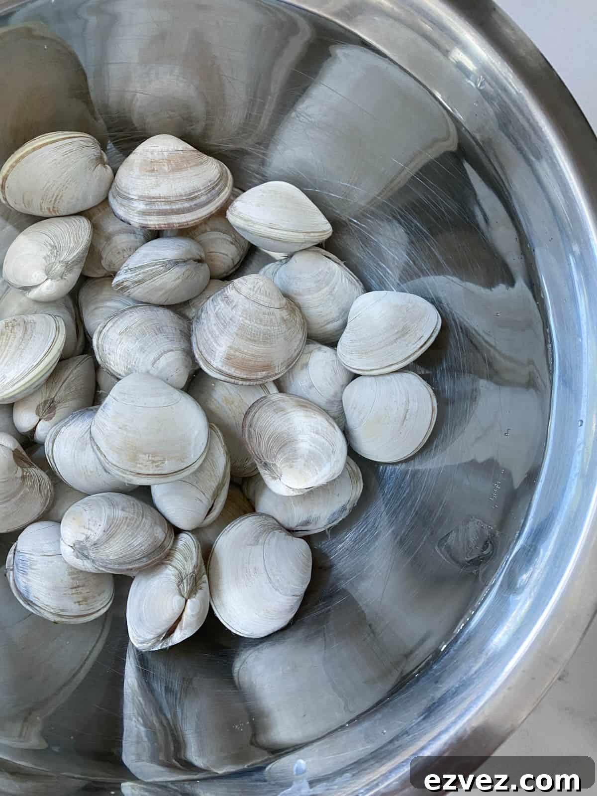 Fresh clams in a stainless bowl being washed in a sink.