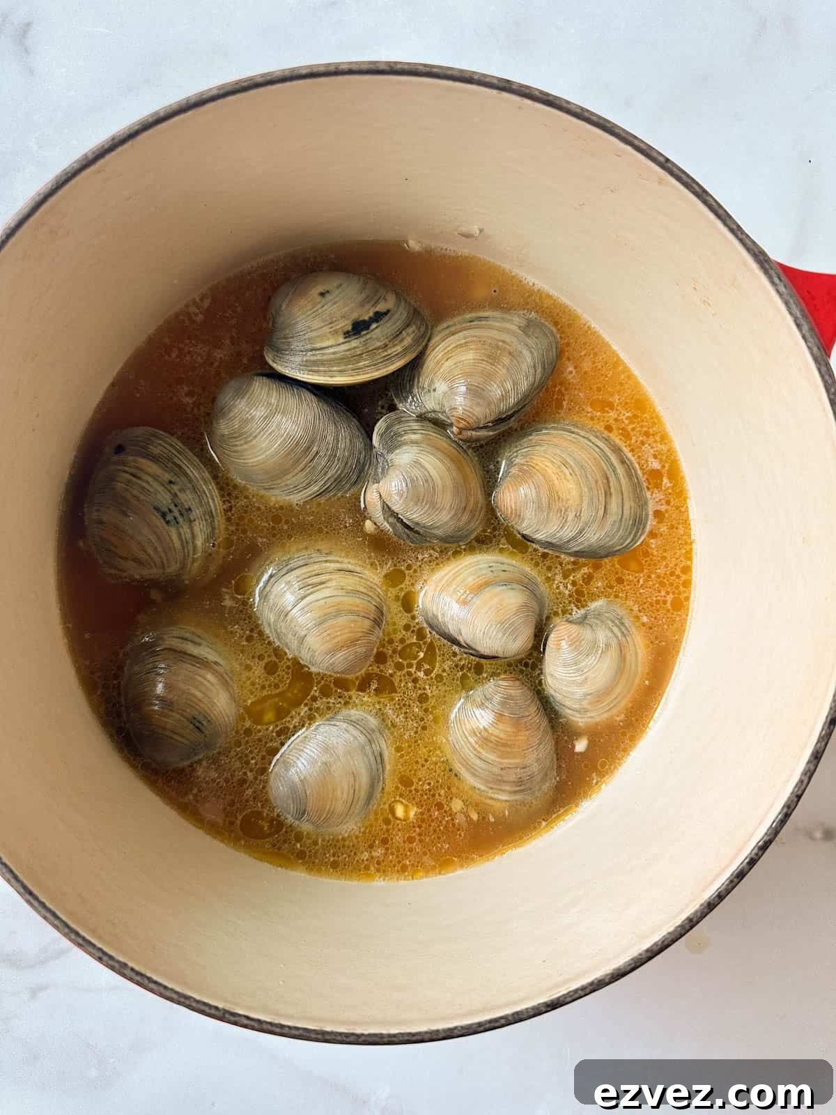 Closed littleneck clams in a dutch oven in broth before cooking.