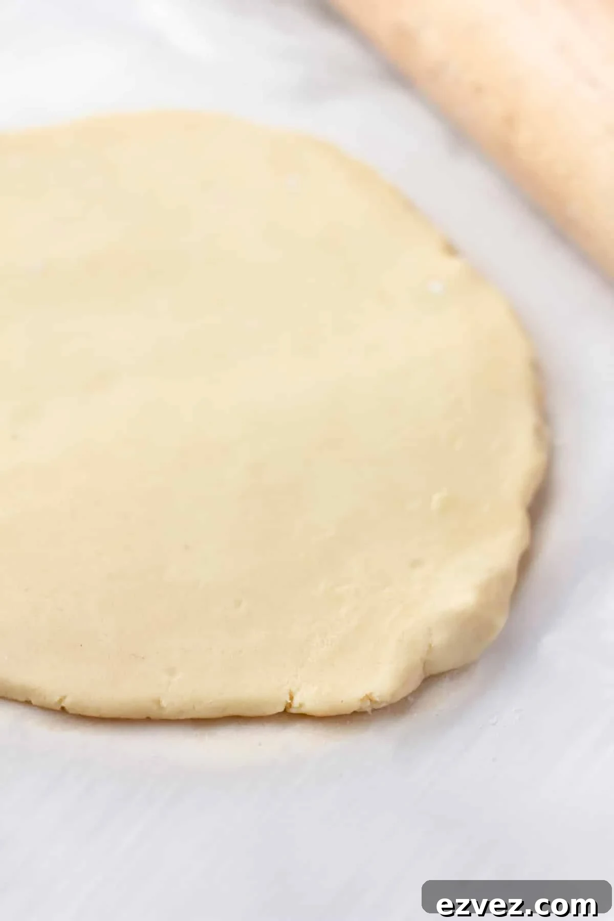 sugar cookie dough on parchment paper rolled out flat