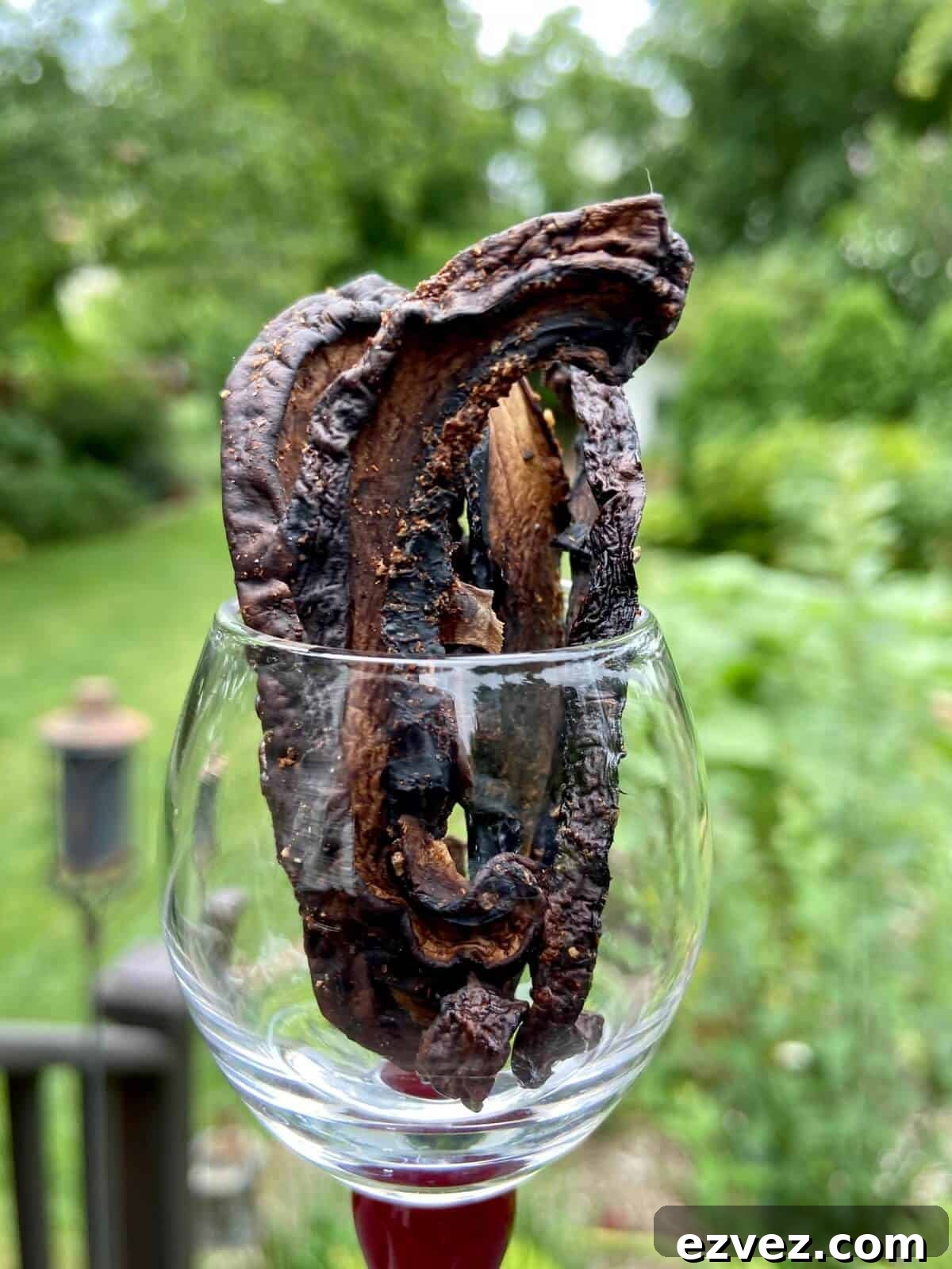 Mushroom jerky.