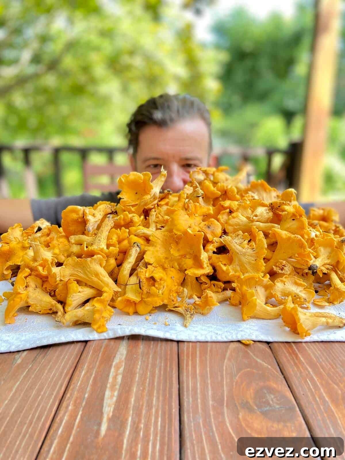 Erich looking at a big pile of Chanterelle mushrooms.