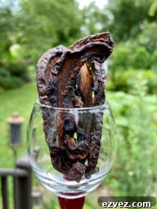 Mushroom Jerky Recipe - Portobello Mushroom Jerky (Photo by Erich Boenzli)