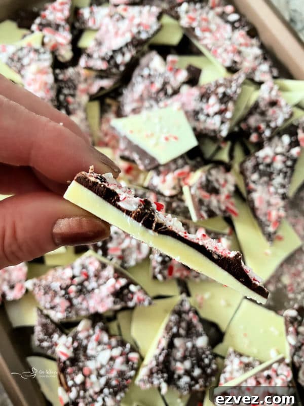 layers of white and dark chocolate with peppermints on top