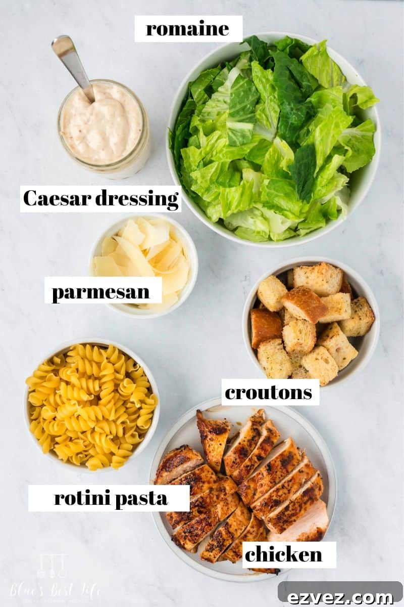 Ingredients for Chicken Caesar Pasta Salad: Romaine Lettuce, Caesar Dressing, Parmesan, Croutons, Rotini Pasta, Cooked Chicken.