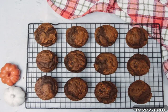 pumpkin chocolate muffin