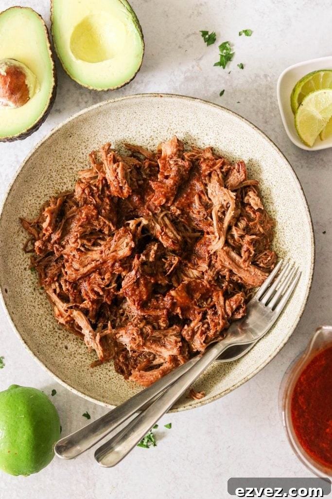 Shredded pork shoulder in mole sauce