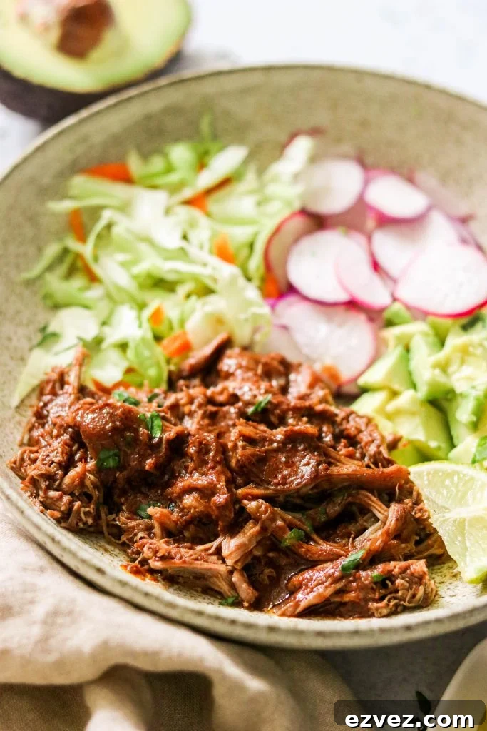 close up of pulled pork mole in a bowl