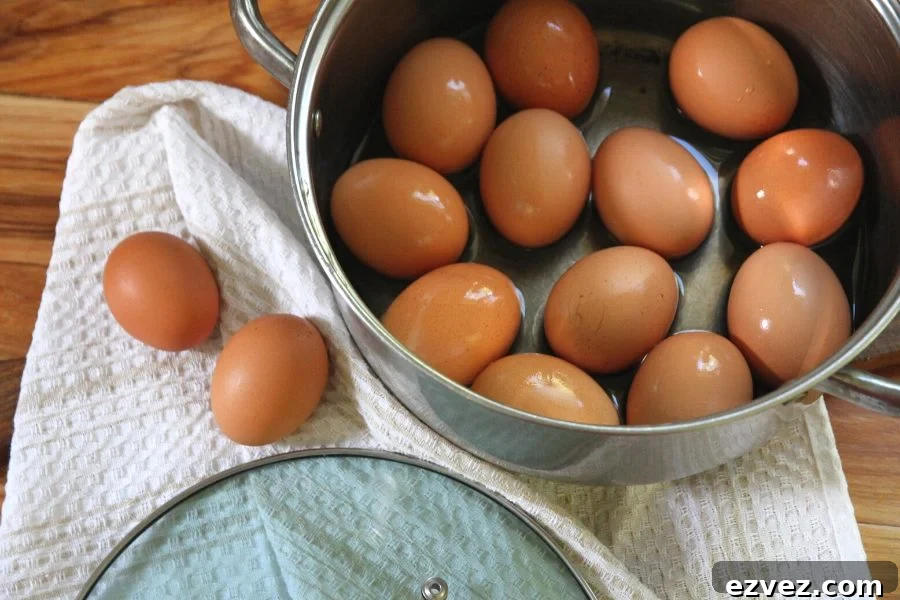 A dozen fresh hard boiled eggs in a stainless steel pot