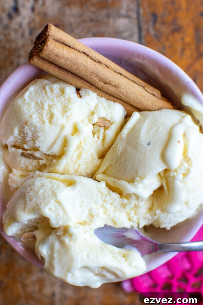 A bowl of cinnamon ice cream with a stick of canela