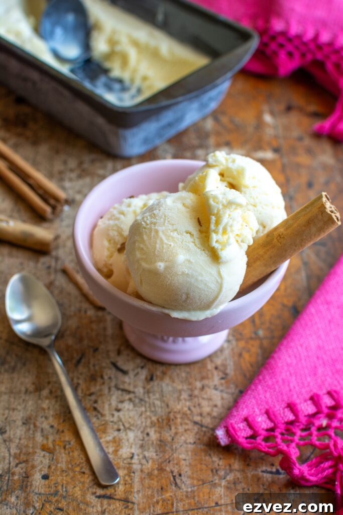 A bowl of canela ice cream with a spoon next to the bowl