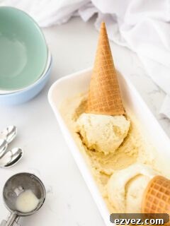 Two ice cream cones with French vanilla ice cream in an ice cream container.