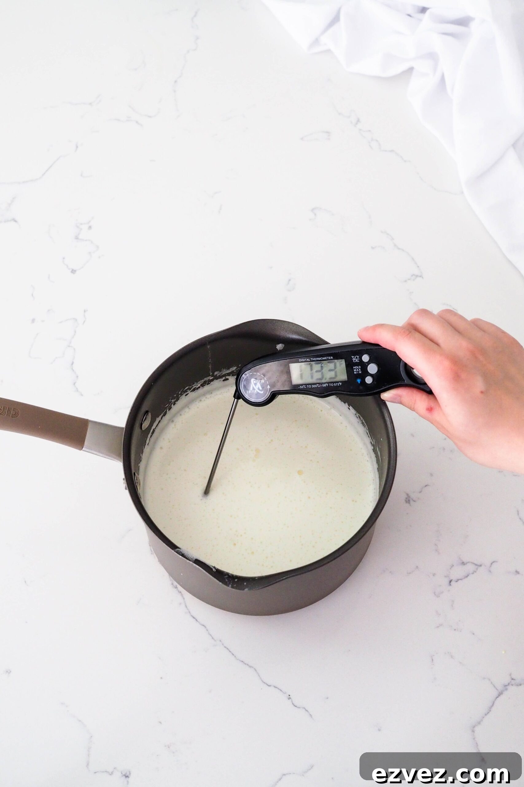 A hand sticks an instant read thermometer into a pot of custard ice cream.