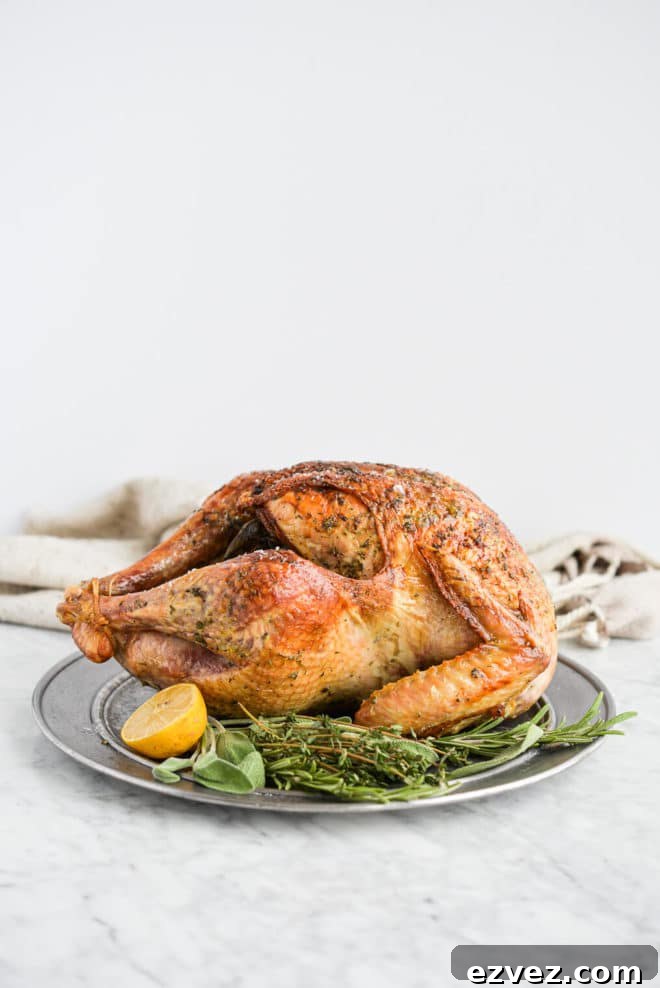 side view of a whole roasted turkey sitting on a platter