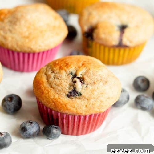 Blueberry Cottage Cheese Muffins